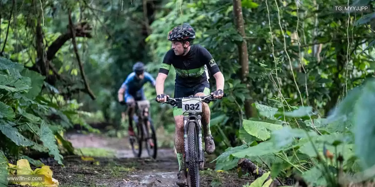 📺锁定直播，你的视角就是主场！